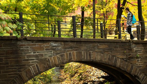 Crossing the stone bridge
