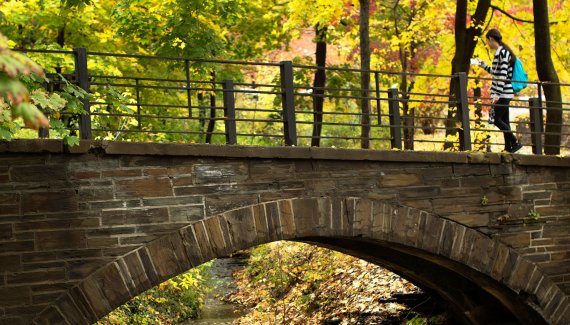 Crossing the stone bridge