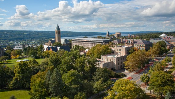 View of central campus in summer