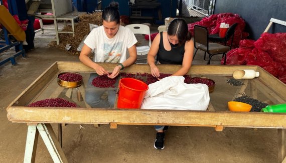 Yoselyn Hernández Chaves studied consumer and industry preferences on red beans in Costa Rica last summer. Provided.