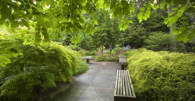 The Deans Garden at the College of Agriculture and Life Sciences