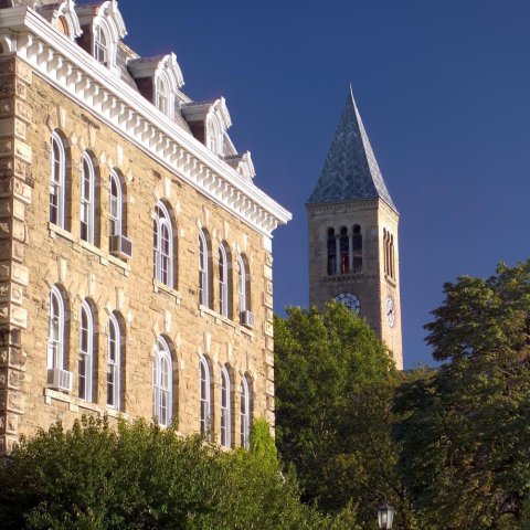 Cornell tower