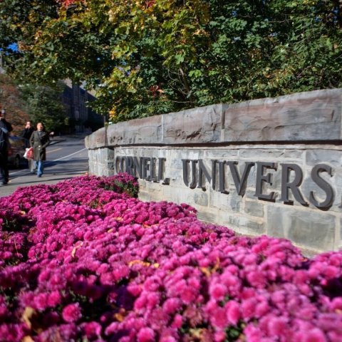 Cornell entrance sign