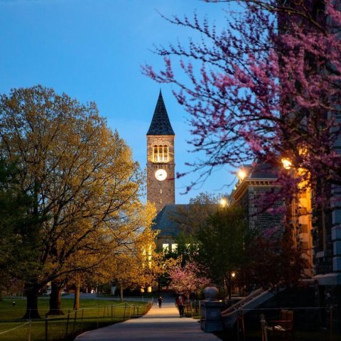 Cornell tower at dusk