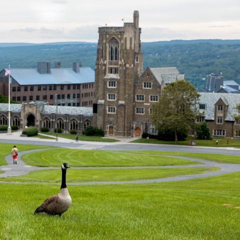 Cornell campus slope