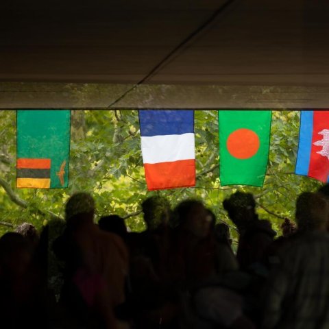 International Fair flags