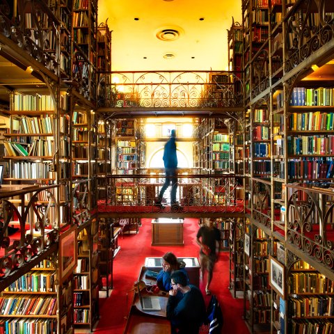 People working in A.D. White library